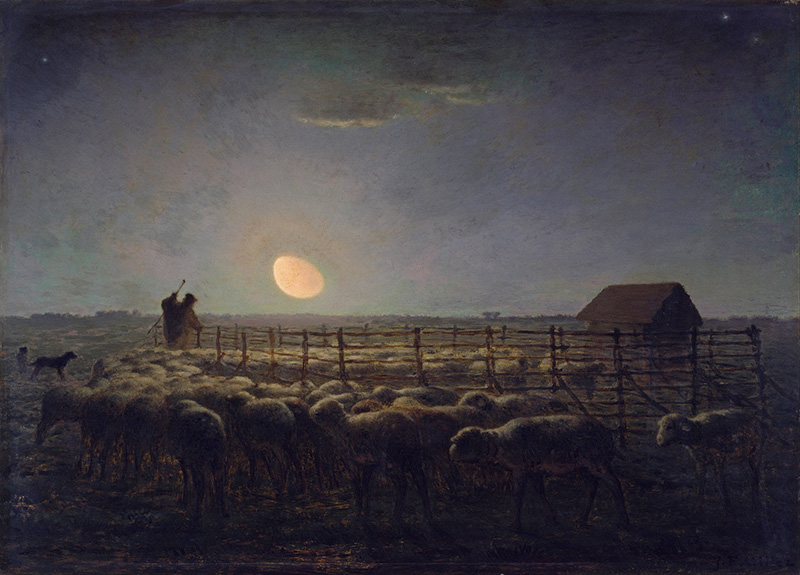 the sheepfold